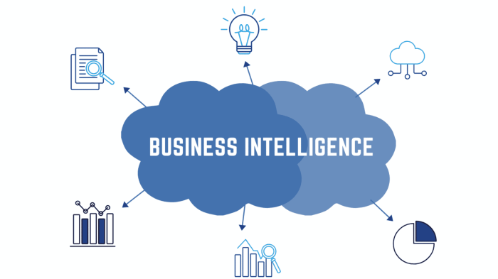 Business intelligence unplugged