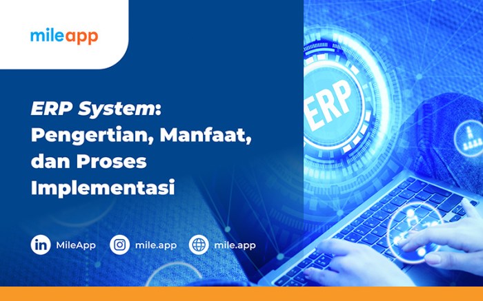 Erp online