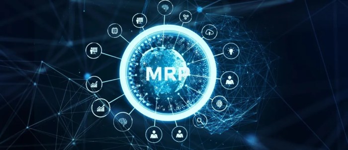 Mrp software
