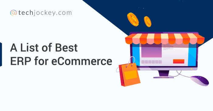 Erp in ecommerce