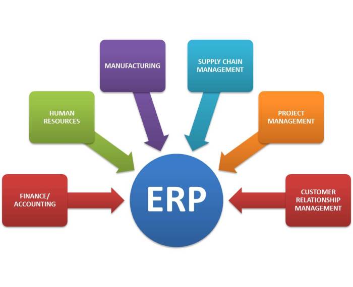Sistem erp