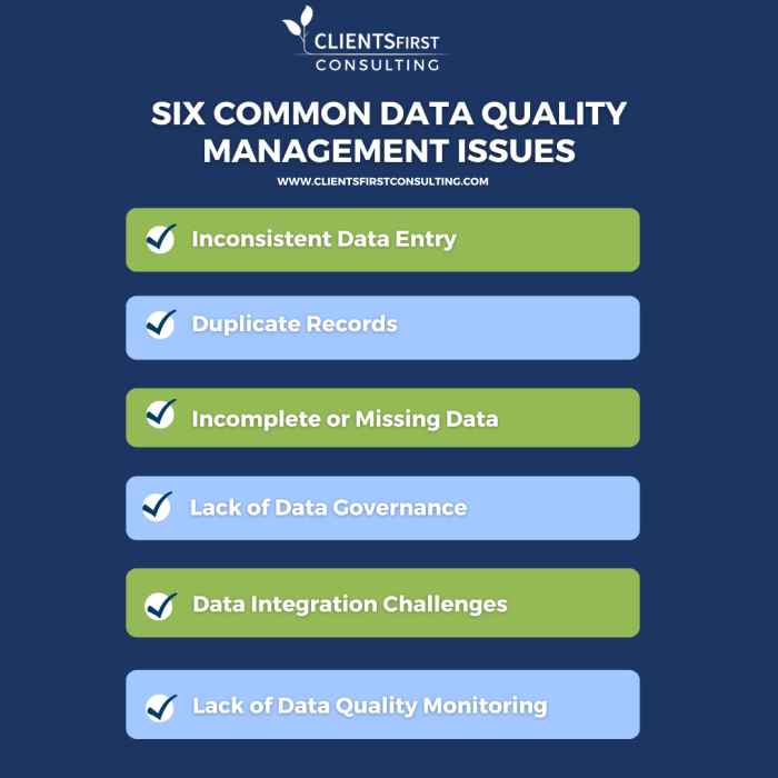 Overcoming common data quality issues in business intelligence processes