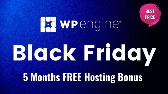 Friday black wpengine months half sale Friday black wpengine months half sale