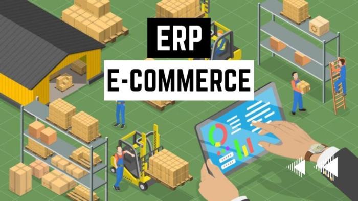 Erp ecommerce integrating key practices google technologies Erp ecommerce integrating key practices google technologies