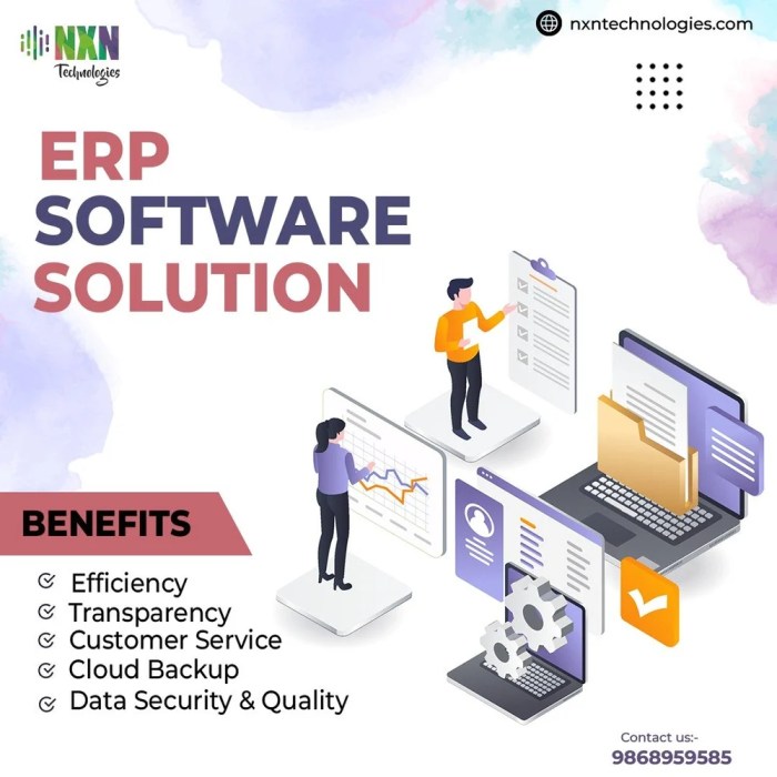 Microsoft erp solution