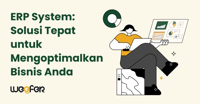 Microsoft erp solution