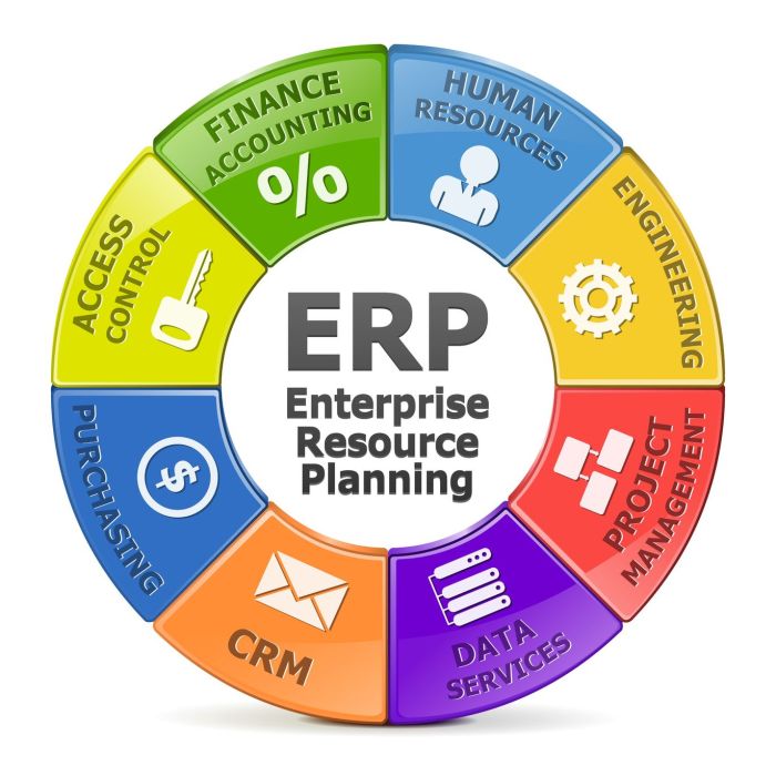 Sap erp overview Sap as an erp system
